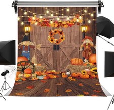 Backdrop 5x7FT Autumn Maple Leaf Harvest Pumpkin