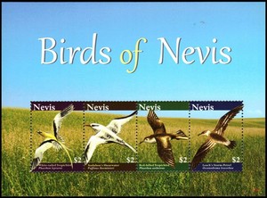 NEVIS 2010 #1602-1603 Sheets MNH Birds of Nevis