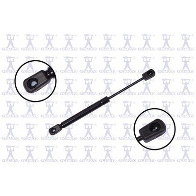 Fcs Struts 86916 86916
