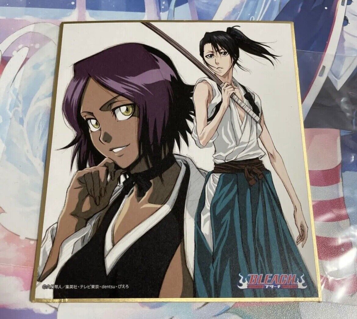 Bleach X Studio Pierrot Byakuya Kuchiki Yoruichi Shihoin