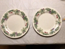 Pfaltzgraff JAMBERRY Dinner Plate 11” USA Stoneware Set of TWO  #BxEE-1.6