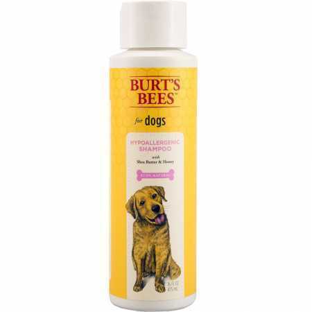 burt's bees dog shampoo