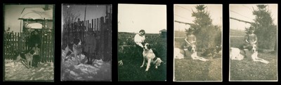 5x Bernhardiner Hund Cora mit Mädchen - 1920er - Foto 4x6cm
