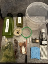 Complete 100 Daphnia Magna/Moina Culturing Kit Great For BettaAnd Baby Axolotl