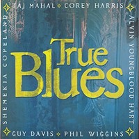 Various - True Blues - Cd - G4Z