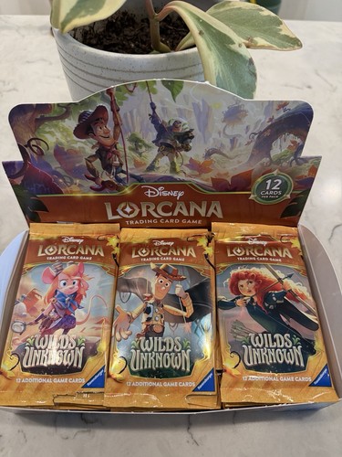 ~Disney Lorcana Wilds Unknown 24 Booster Packs OPENED~ Please Read