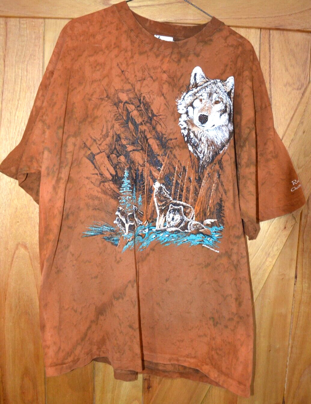 Vintage Single Stitch Ruby Falls Chattanooga TN W… - image 1