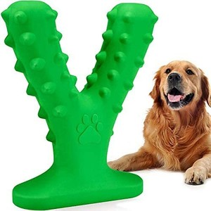 dog toothbrush chew toy