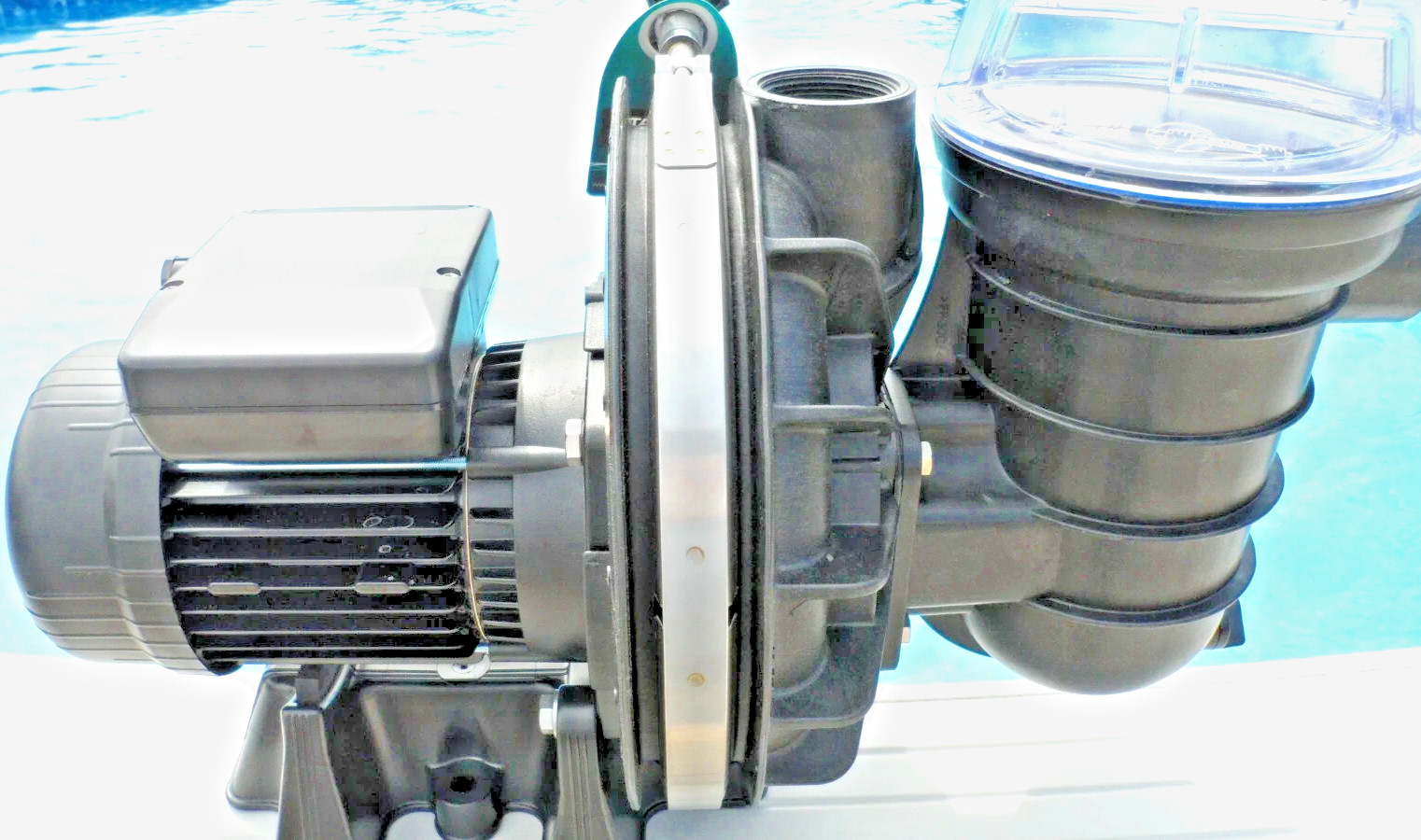 BOMBA PISCINA STA RITE 5P2R 1 HP 0,75 kW BOMBA NEGRA Ene 2025 Reino Unido