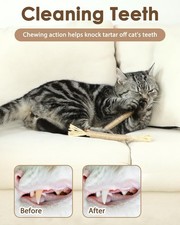 Silvervine Sticks Cat Toys - 6Pack Natural Cat Chew Toy Teeth Cleaning, Matat...