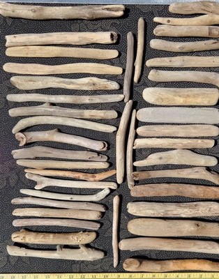 40 Medium Beautiful Lake Superior Driftwood for Creative Projects