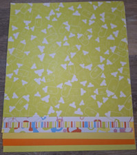 12"x12" collection of 14 baby / solid scrapbooking pages