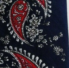 Slim Skinny Blue Red Paisley Cotton Tie