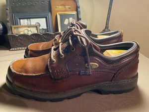 irish setter 3874
