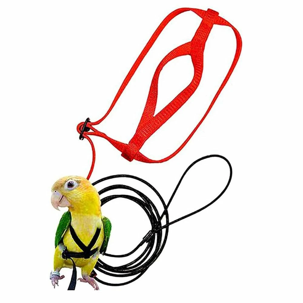 New Parrot Bird Harness Leash Adjustable Anti Bite Training Rope Outdoor Flying