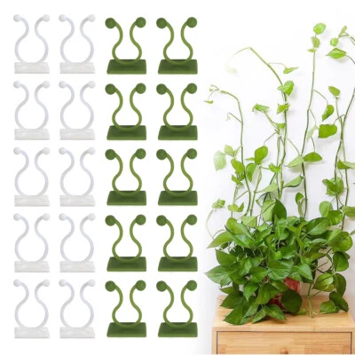 50pcs Invisible Plant Clips Vine Climbing Wall Hook Support Stake Fixt Clamp