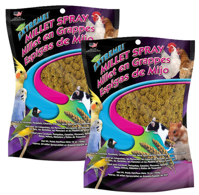 F.M. Brown's Extreme Spray Millet Treat 16 oz for Parakeets, Cockatiels (2 Pack)