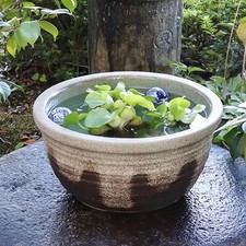 Size 13 Gray-Glazed Shigaraki Ceramic Water Basin for Goldfish/Medaka