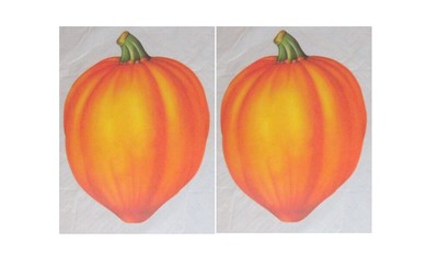 Orange Squash Cutout #99446os, 2 PIECES, 16 inch