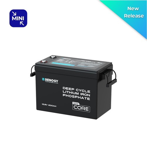 Renogy 100/200/300Ah 12V LiFePO4 Lithium Leisure Battery or Battery Monitor - Picture 17 of 32