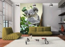 3D Gray Koala D1650 Animal Wallpaper Mural Self-adhesive Removable Honey