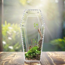 Acrylic Spider Enclosure Terrarium for Mantises Frogs Breeding Box Ventilated