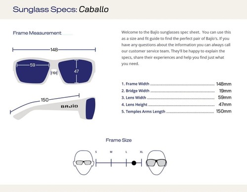 Bajio Sunglasses Caballo Blue Vin Matte Frame - Polycarbonate Lens - Imagen 3 de 13