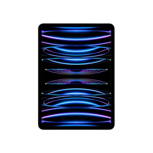 Apple iPad Pro 11-inch (4th generation) A2759 128 GB, Wi-Fi only, Space Gray