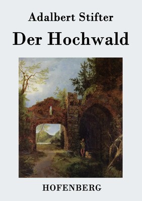 Der Hochwald Adalbert Stifter Taschenbuch 92 S. Deutsch 2013 EAN 9783843033824