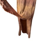 Picture 4 of 12