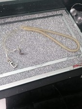 Bird/parrot training extention lead