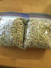 Top Pick Purple Hull, Mississippi Pinkeye 2,  Mississippi Pinkeye PurpleHull BVR