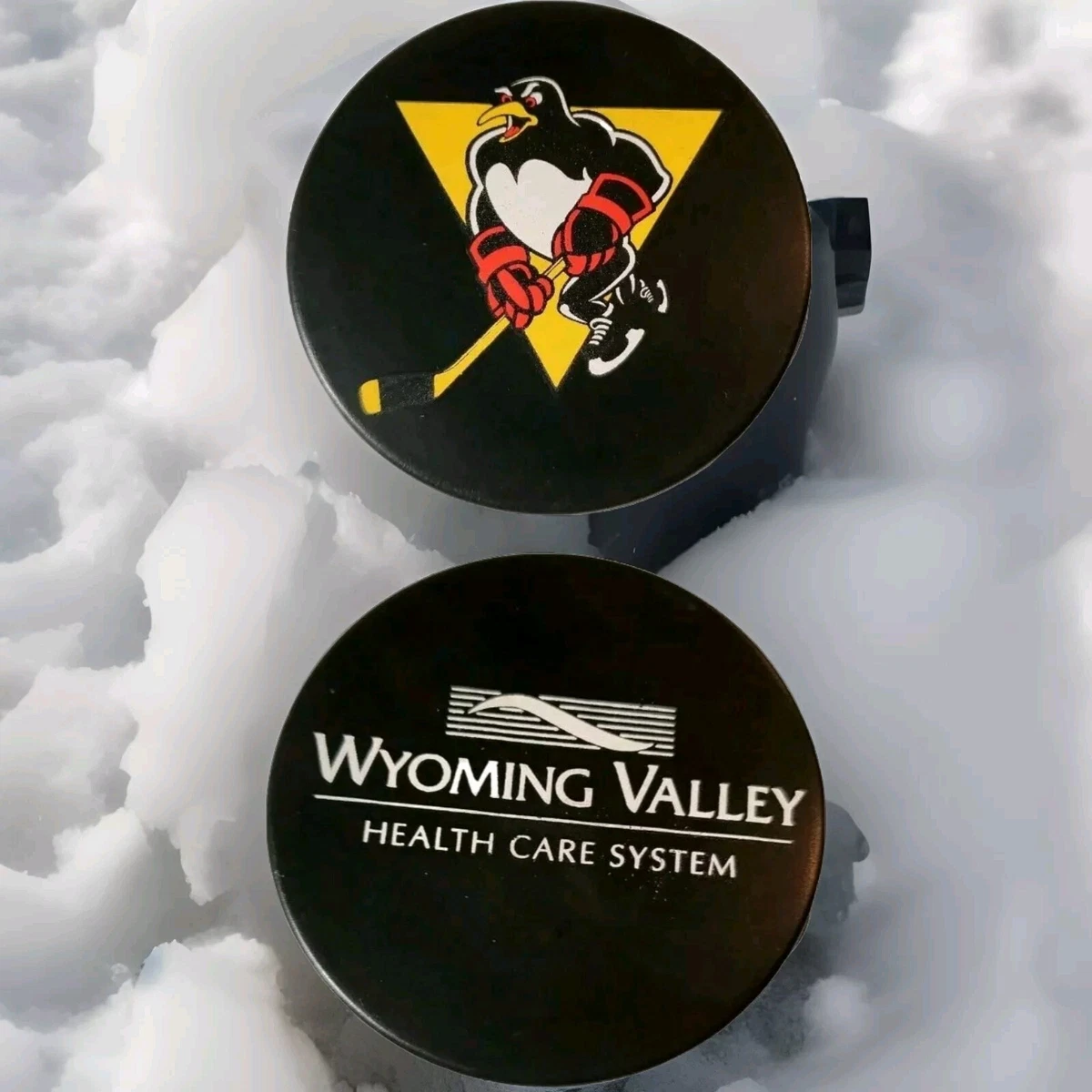 WILKES-BARRE SCRANTON PENGUINS WYOMING VALLEY HEALTH CARE SPONSOR