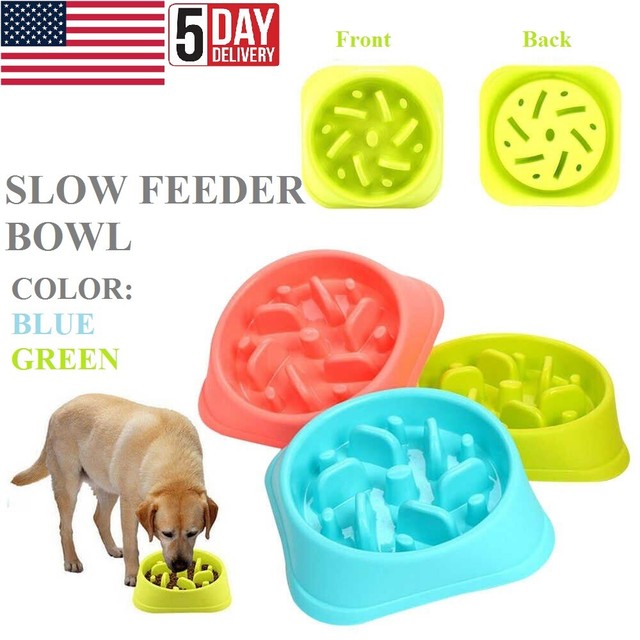 Slow Feeder Spiral Puzzle Pet Bowl For Dogs & Cats Green eBay