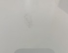Dan mintz - Bob's burgers - Raw  Sketch And Signed Autograph With Photo Proof — photo 3