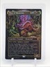 MASS OF MYSTERIES 2026 MAGIC THE GATHERING BORDERLESS FOIL 5/5 Q6016