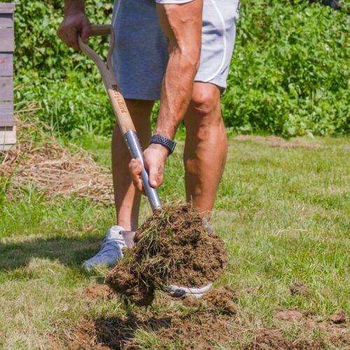 Stainless Steel Round Point Shovel for Digging & Transplanting - 43’’ Long - Picture 8 of 11