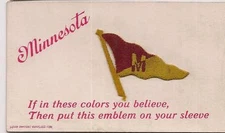 Rare 1910s U of MINNESOTA College Colors Embroidered Sleeve Embllem Postcard