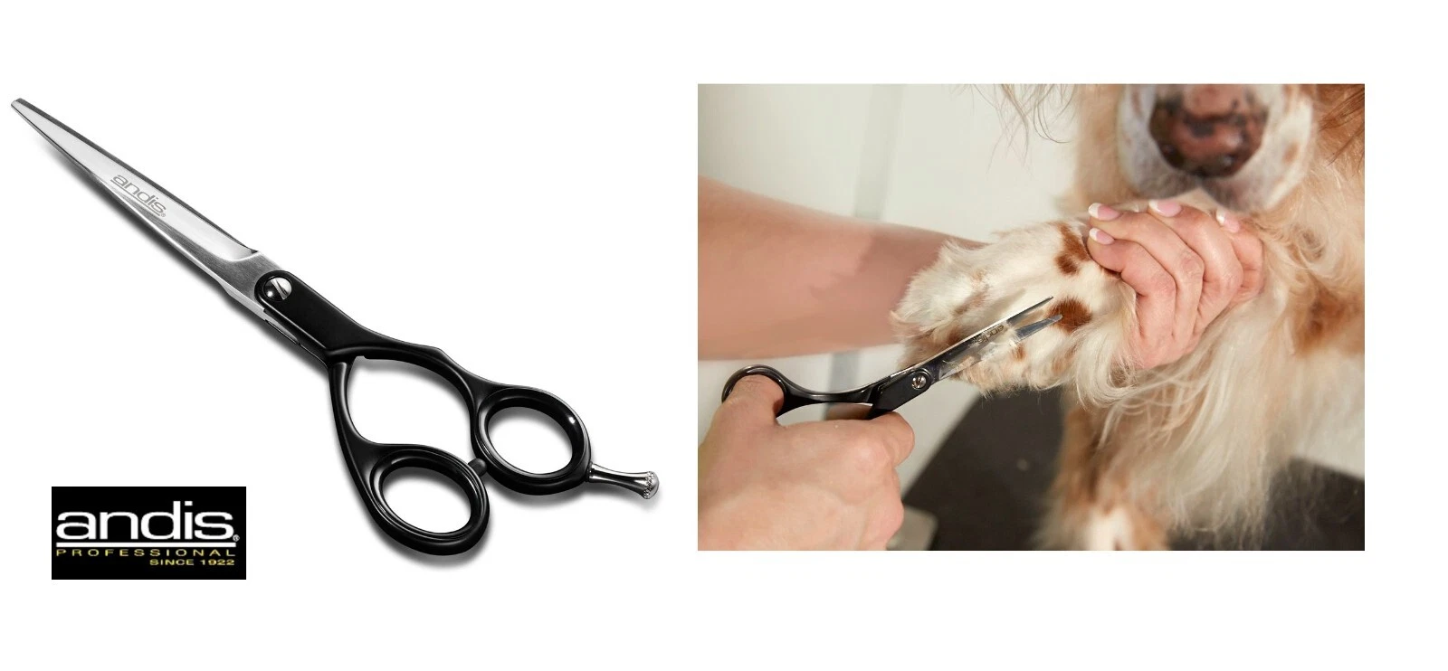 ANDIS STAINLESS STEEL Pro PET GROOMING BLUNT/SAFETY TIP Straight SHEARS Scissors