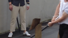 Video 1 of 1