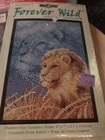 Picture 5 of 6