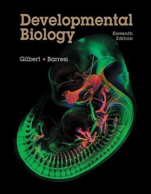 Entwicklungsbiologie - Gilbert, Scott F.