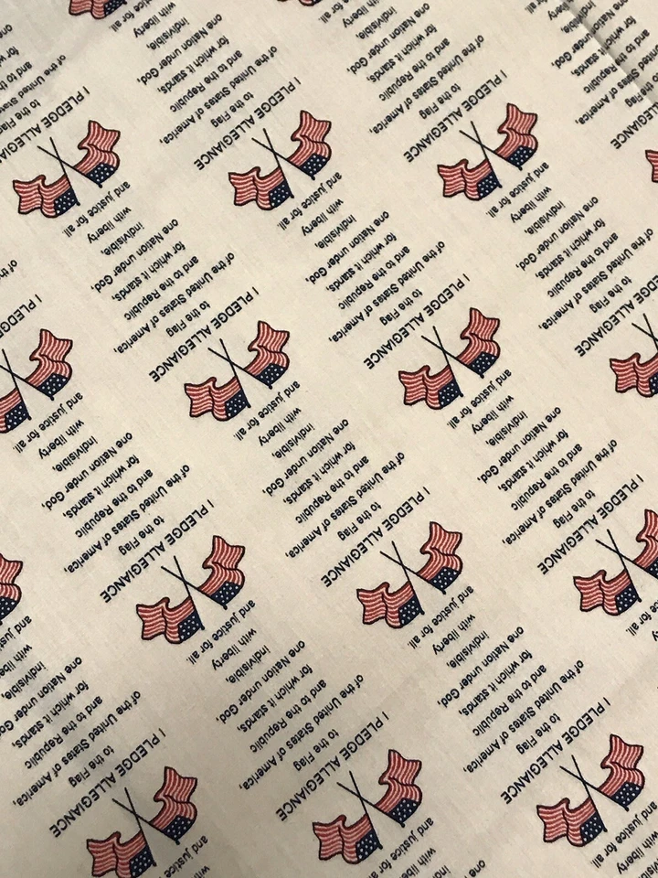 De Colección America Stars EE. UU. I Compromiso Lealtad Bandera Material Tela Coser Patriota 99x41 Foto 2 de 4