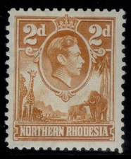NORTHERN RHODESIA GVI SG31, 2d yellow-brown, M MINT. Cat £50.