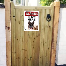 WARNING I LIVE HERE Akita SIGN 267mm x 200mm 1298H1