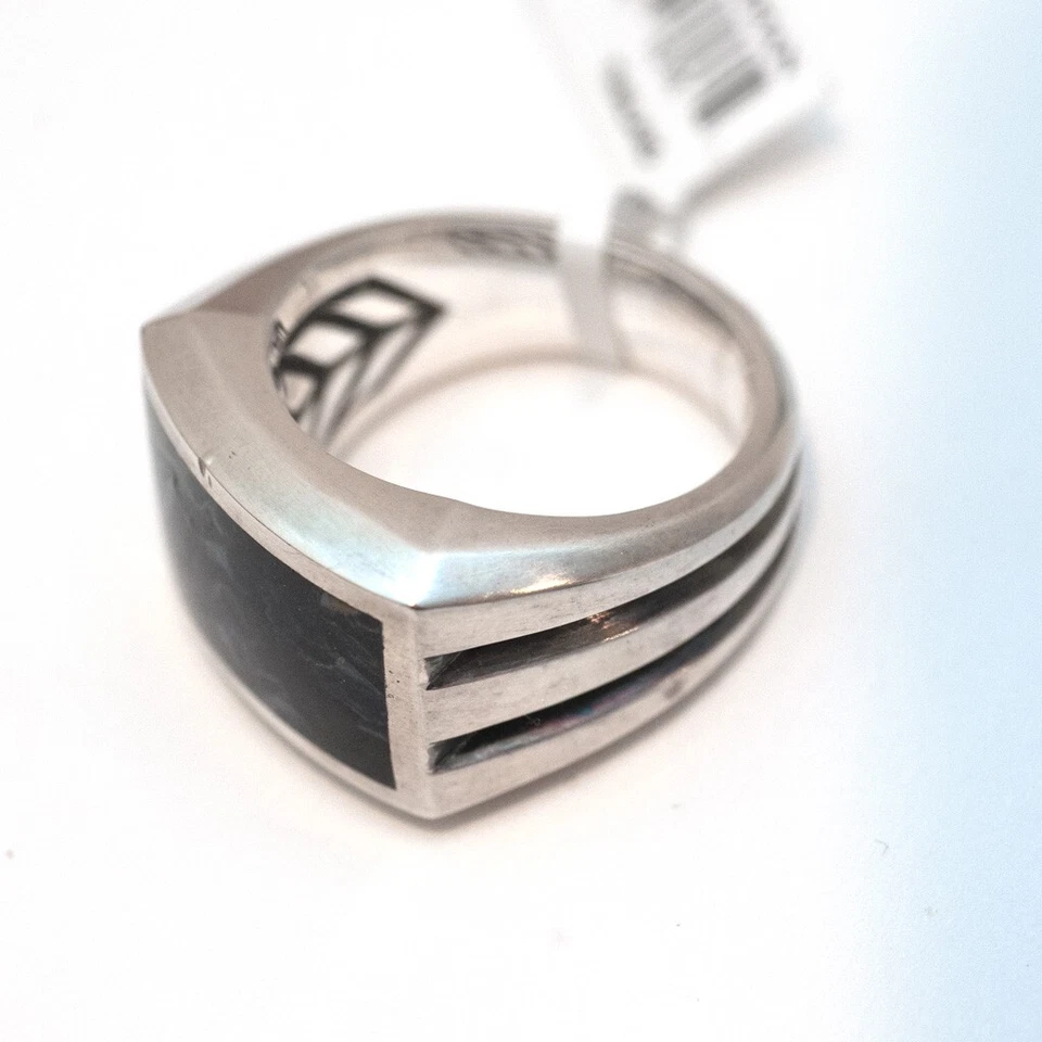 Anello Signet Bevelato Da Uomo Nuovo In Argento E Pietersite Taglia 10 AS IS - Immagine 2 di 4