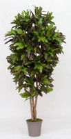 Artplants Kunst Kroton Kajetana, NaturstäMme, Bunt, 125Cm