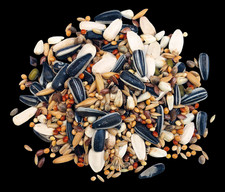 Großsittichfutter TOP 10 kg Sittiche Vogelfutter Nymphensittichfutter Papageien