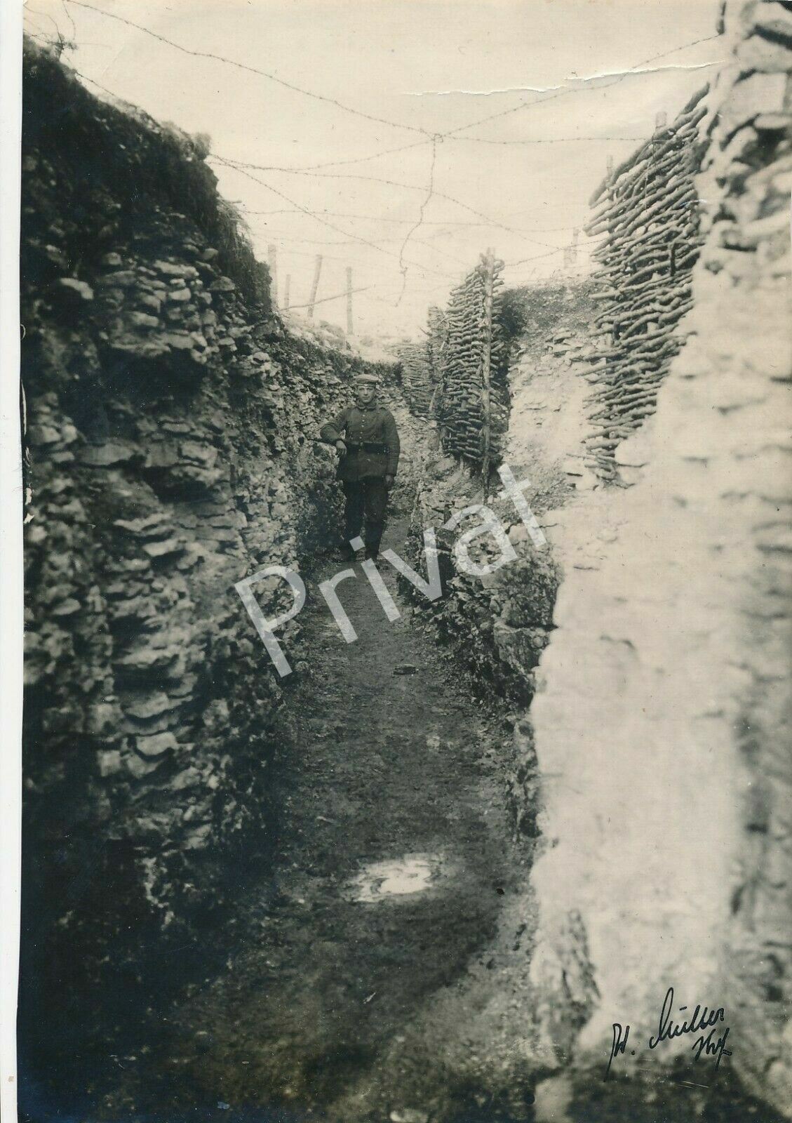 Photo 1/1