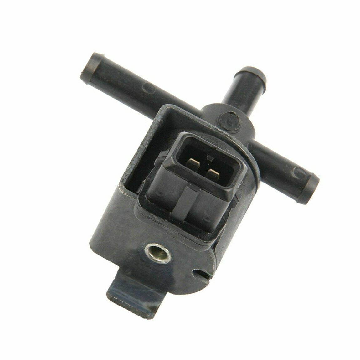 Picture 5 of 6